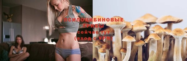не бодяженный Магадан