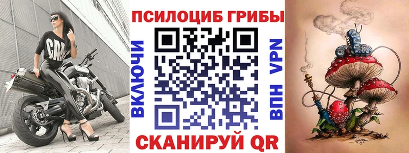 Купить закладки  Устюжна  Галлюциногенные грибы Psilocybine cubensis 